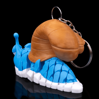 Porta Chaves Caracol