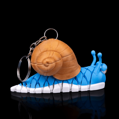 Porta Chaves Caracol