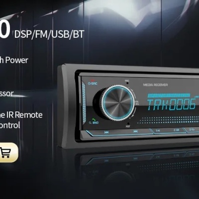 Radio SEAT Ibiza  6j, 2009-2013