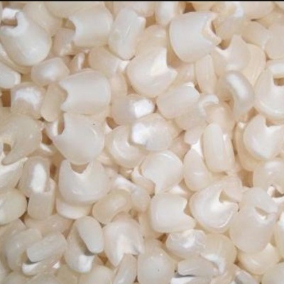 CANJICA / MILHO BRANCO