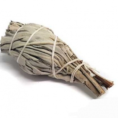 Tocha Salva Branca Túlipa