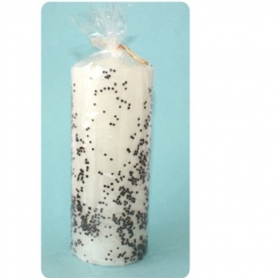 VELÃO CORDEIRO MANSO