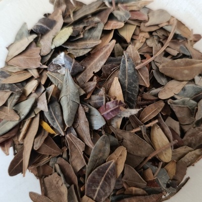 AROEIRA