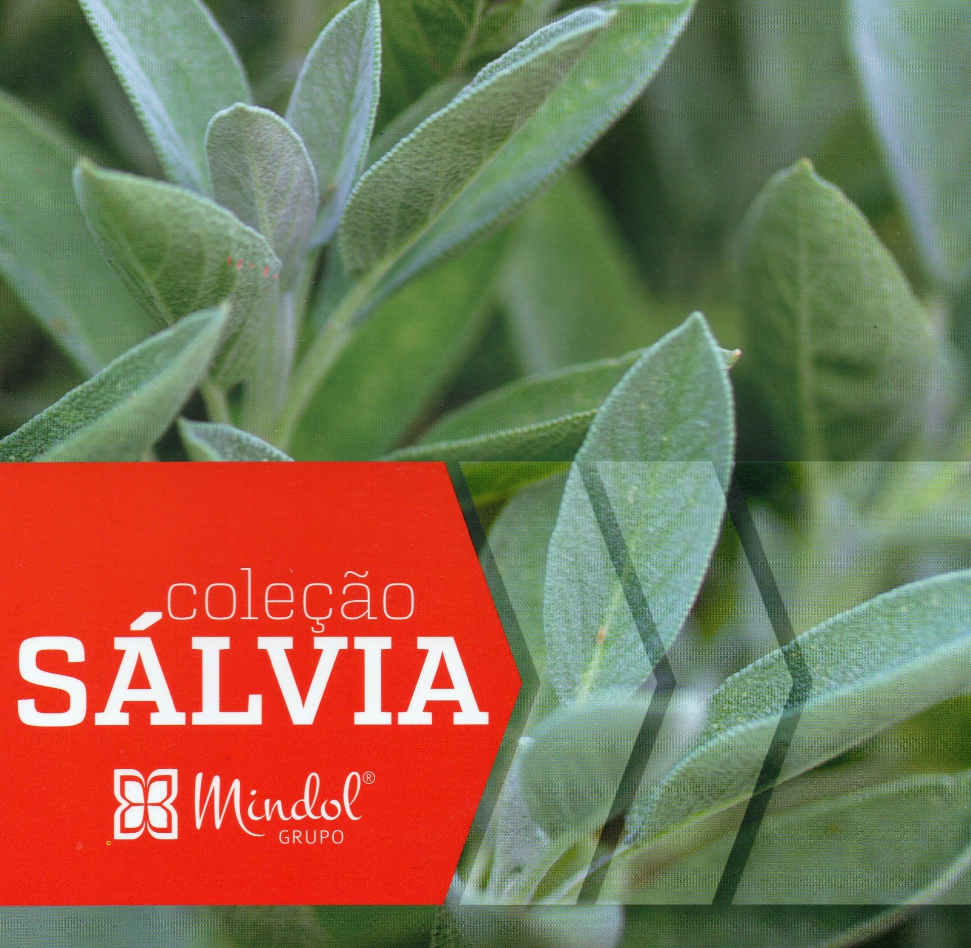 Tecido&#x20;S&#x00C1;LVIA