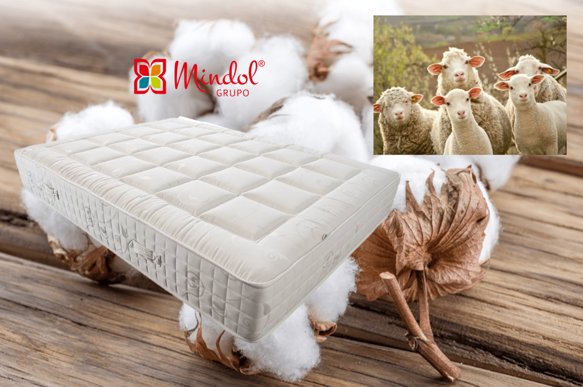 Mindol® O Colchão VERÃO e INVERNO NATURAL LUX!