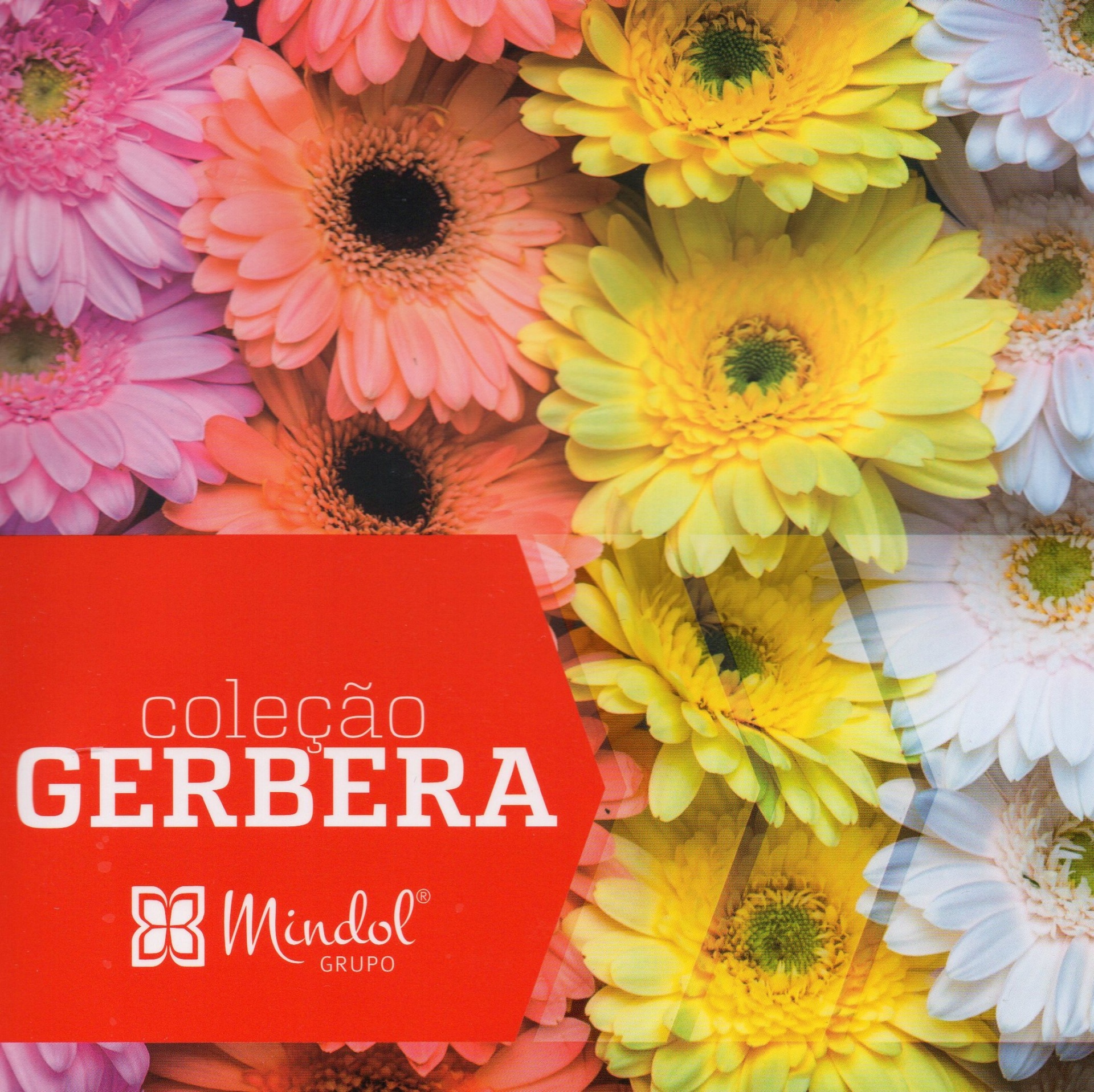 Tecido&#x20;GERBERA