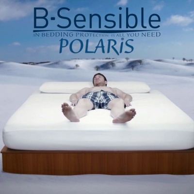 Len&#x00E7;ol&#x20;Imperme&#x00E1;vel&#x20;POLARIS&#x20;Ajust&#x00E1;vel&#x20;B-Sensible&#x00AE;&#x20;cor&#x20;Lavanda