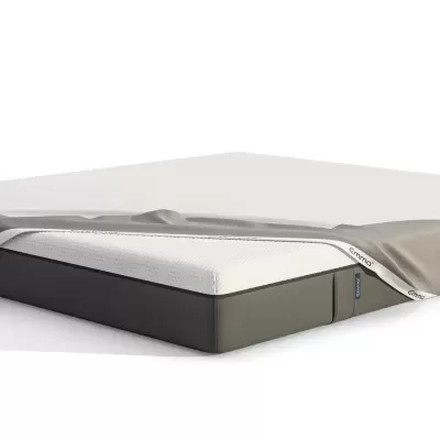 Capa&#x20;Protetora&#x20;Emma