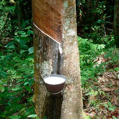 Colch&#x00E3;o&#x20;PURE&#x20;GREEN&#x20;Bio&#x20;100&#x25;