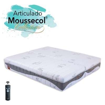 Colch&#x00E3;o&#x20;Articulado&#x20;Moussecol&#x20;Collection