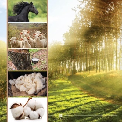 Colch&#x00E3;o&#x20;IMPERIAL&#x20;35&#x20;-&#x20;PRIMACY&#x20;-&#x20;by&#x20;MINDOL