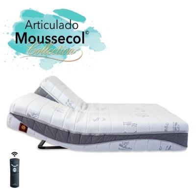 Colch&#x00E3;o&#x20;Articulado&#x20;Moussecol&#x20;Collection