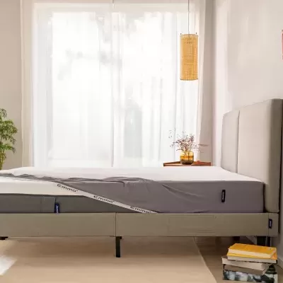 Capa&#x20;Protetora&#x20;Emma