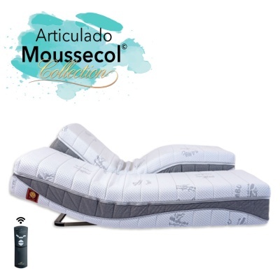 Colch&#x00E3;o&#x20;Articulado&#x20;Moussecol&#x20;Collection