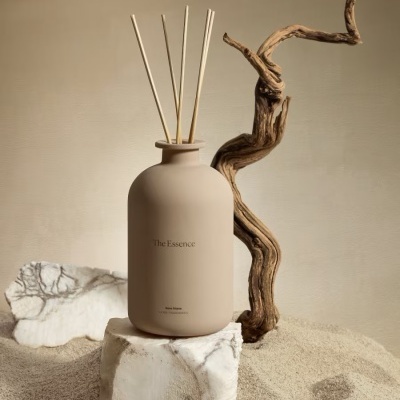 The Essence The Essence