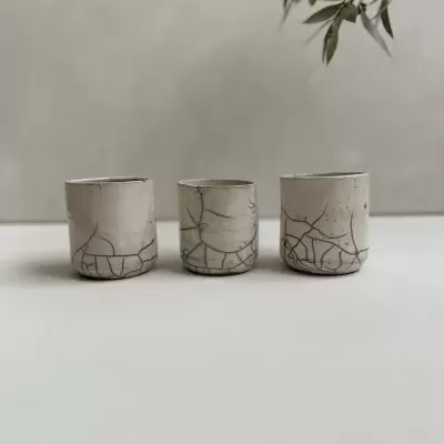 Mancha & Racu Mancha & Racu