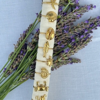 Anéis "Frutos do Mar"