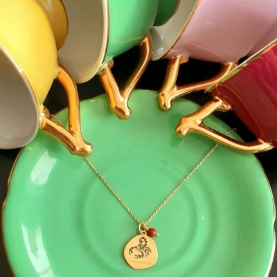 Colar Signo Escorpião  Prata 925 c/ Banho de Ouro e Pingente Jaspe Vermelho