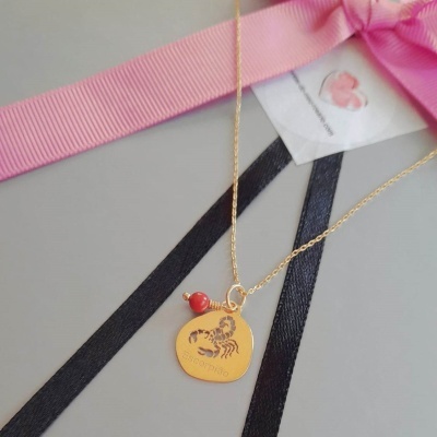 Colar Signo Escorpião  Prata 925 c/ Banho de Ouro e Pingente Jaspe Vermelho