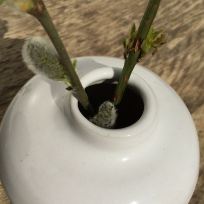 Botz 9876 White Glossy