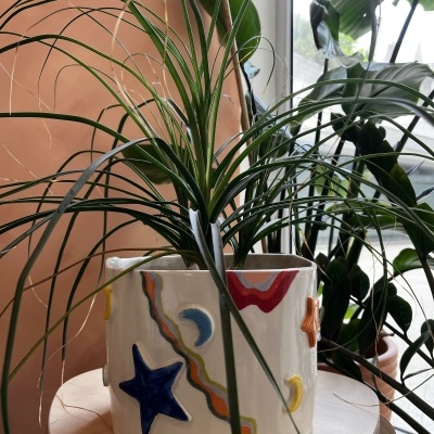 Workshop de Cerâmica • Peça Livre