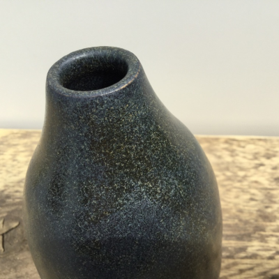 Botz 9892 Salamander