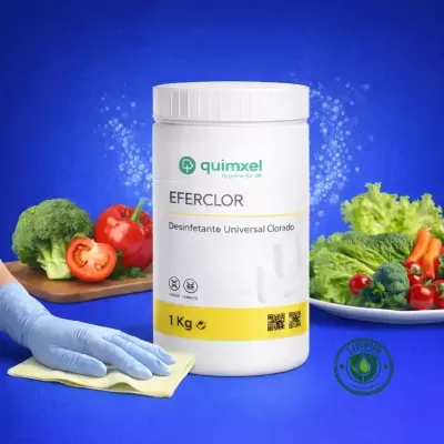 https://www.limpur.com/product/desinfetante-clorado-comprimidos-eferclor
