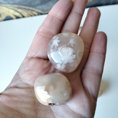 Ágata Flor - Sonhos