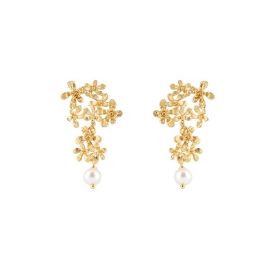 Brincos Prata Dourada