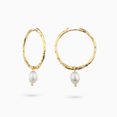 Brincos Prata Dourada