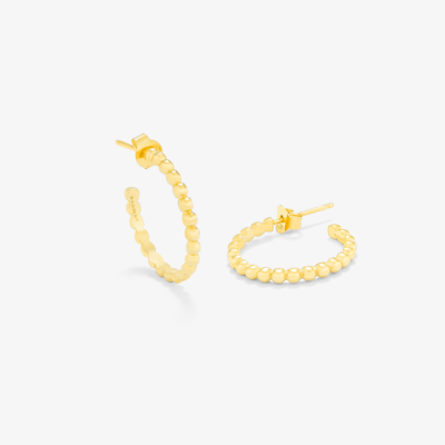 Brincos Prata Dourada