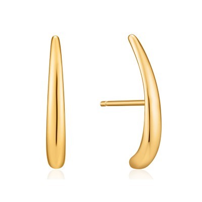 Brincos Prata Dourada