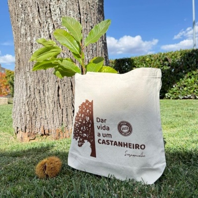 Saco Solidário "Dar Vida a Um Castanheiro"