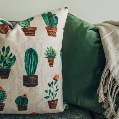 Cactus Pillow