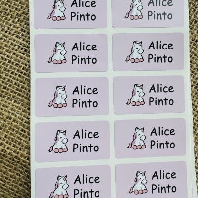 Autocolantes para material escolar | 2,5 x 4,8 cm