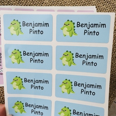 Autocolantes para material escolar | 2,5 x 4,8 cm