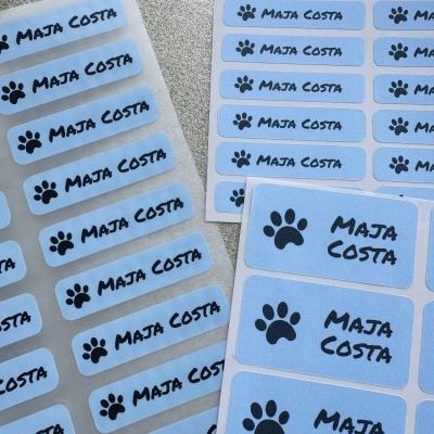 Pack autocolantes & etiquetas transfer | 80 + 25 + 20 unidades