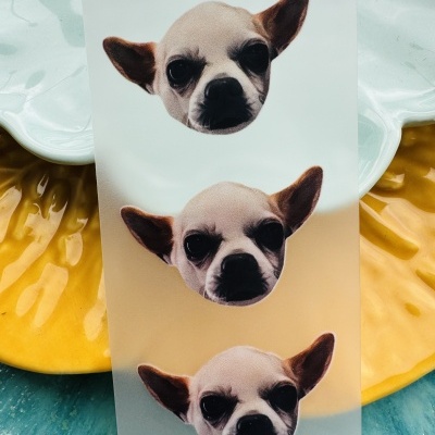 Etiquetas Transfer | Logotipos | Personalize ao seu gosto