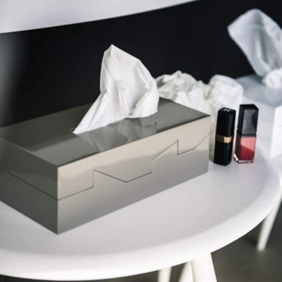 Spirella Caixa para lenços Silhouette taupe