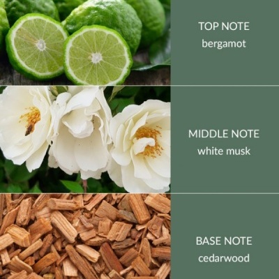 H&H Bamboo Ambientador 80ml Cedarwood & White Musk