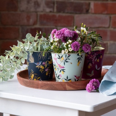 Sara Miller Set 3vasos Orchard 11x10cm