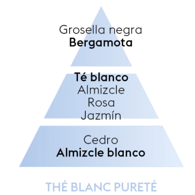 Maison Berger Duo Pack - Cotton Caress + Pure White Tea - 2 x 250 m