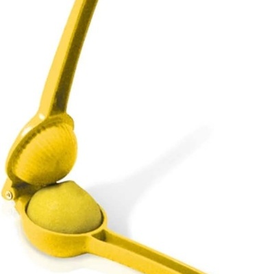 Vin Bouquet Espremedor de limão