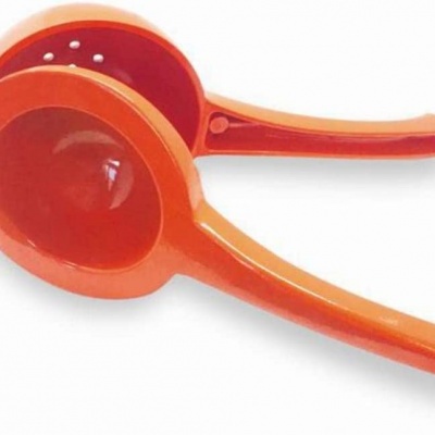 Vin Bouquet Espremedor para laranja