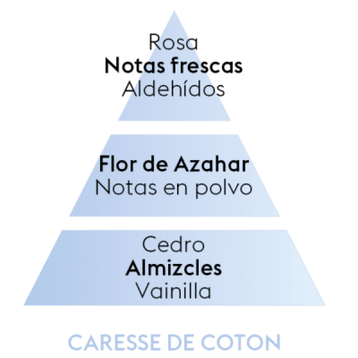 Maison Berger Duo Pack - Cotton Caress + Pure White Tea - 2 x 250 m