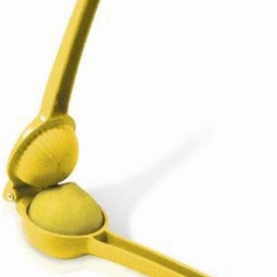 Vin Bouquet Espremedor de limão