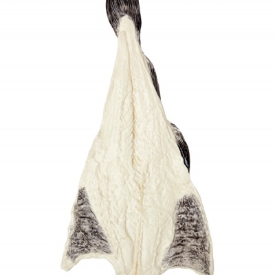 Bordalo Pinheiro Bacalhau- Bacalhau