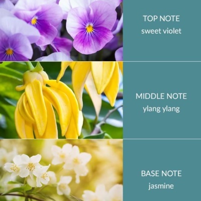 Heart & Home Óleo essencial 10ml Simplesmente Spa