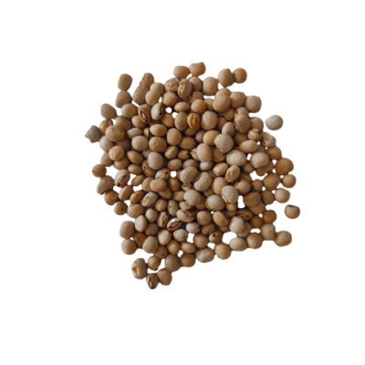 Feijão Congo Seco (1 Kg)