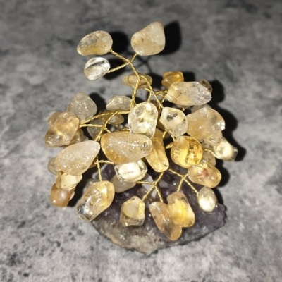 Árvore da felicidade Citrino